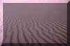dunes4.jpg (75362 bytes)