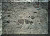 hiero_tuff_seds.jpg (37762 bytes)