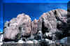 mingus_4_mid.jpg (213658 bytes)
