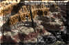 pc_ch4_sites.gif (509277 bytes)