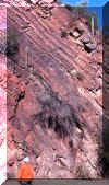 superior_4_close.jpg (55538 bytes)