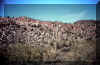 tucson_8c-3_mid.jpg (279950 bytes)