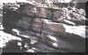 tucson_8c-5_close.jpg (28737 bytes)